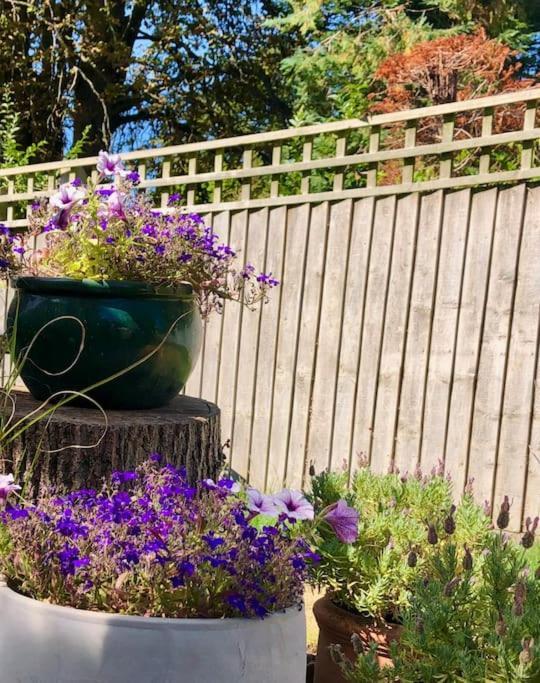 Linden Suite Goring Exterior foto